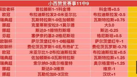 博鱼体育，足球投注， 114133 3